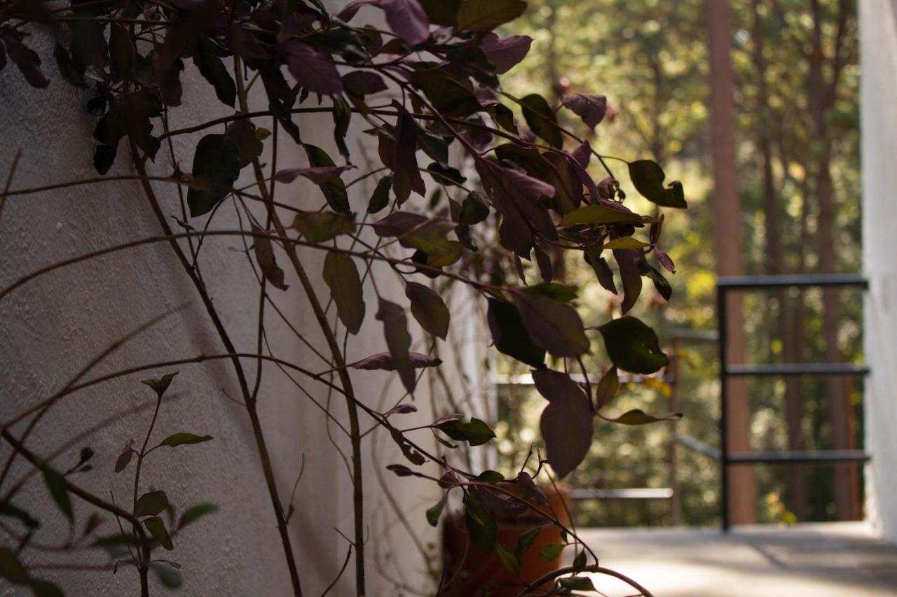 Encino House Villa บาเญเดบราโว ภายนอก รูปภาพ